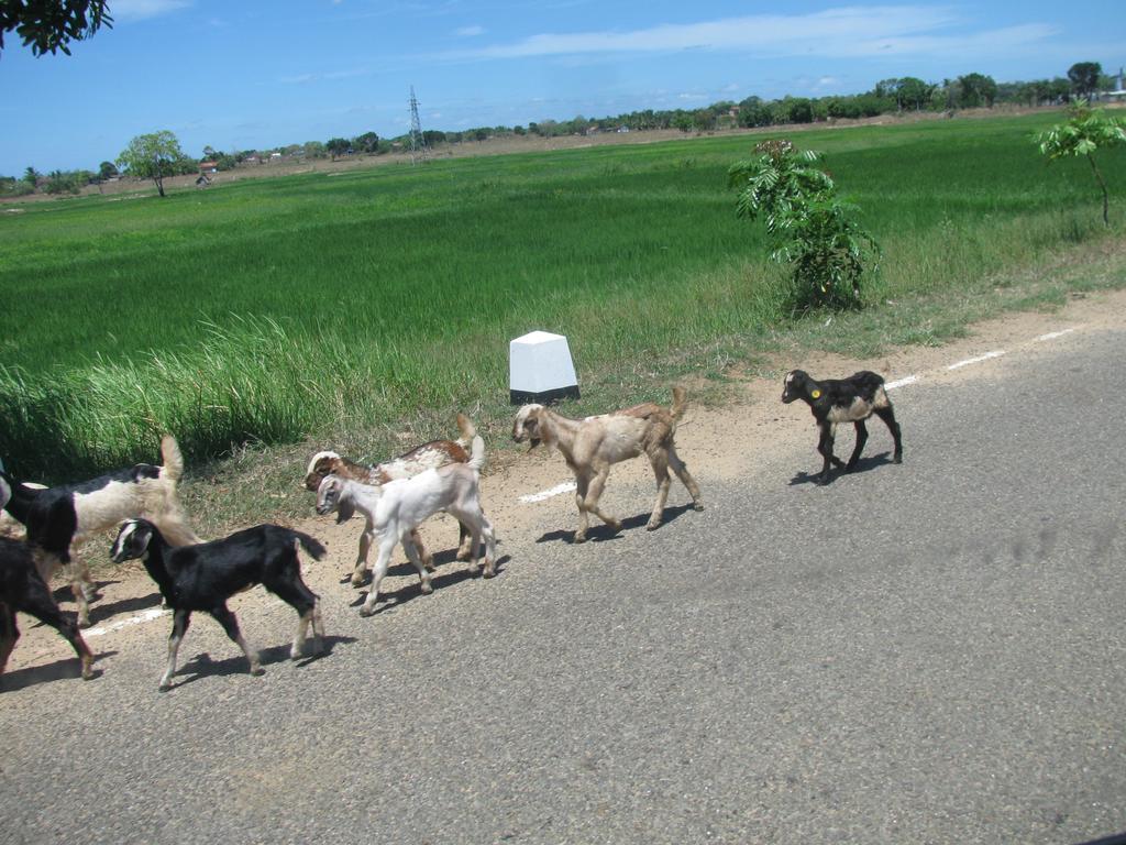 4You Ella Ngoại thất bức ảnh